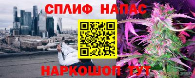хмурый Гатчина