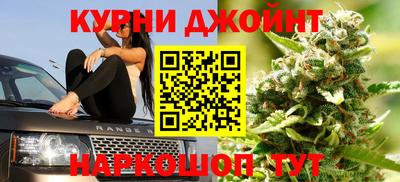гашик Гусь-Хрустальный