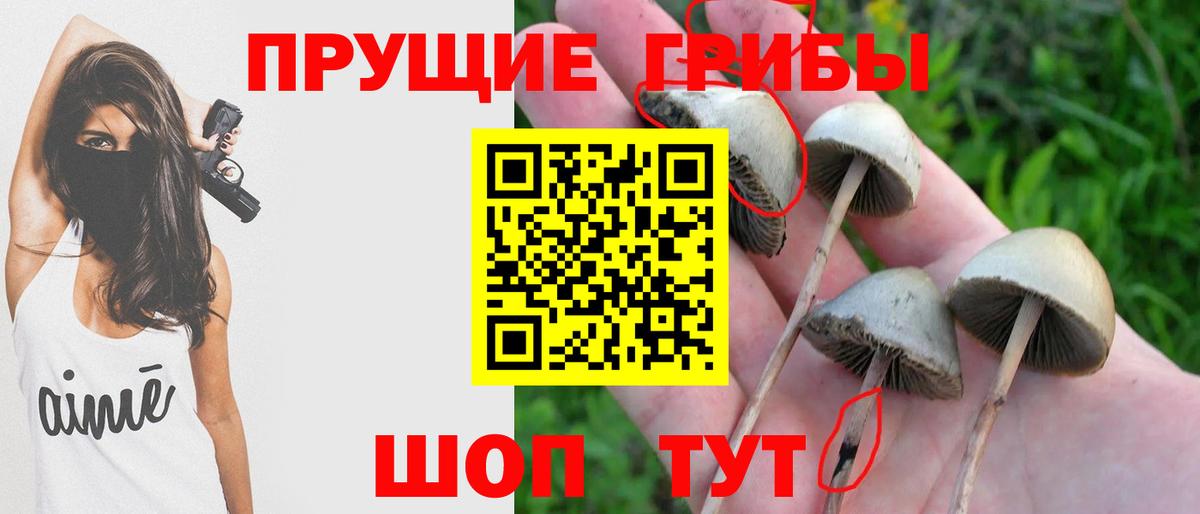 Псилоцибиновые грибы MAGIC MUSHROOMS  Вход с VPN  Псилоцибиновые грибы Psilocybe  Лабинск 